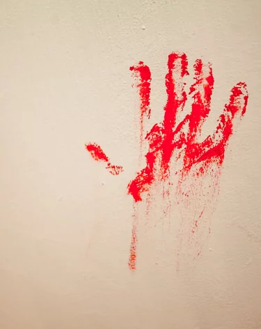 «Она спровоцировала меня»: в Кузбассе 16-летний внук зарезал бабушку