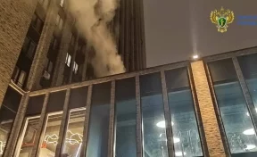 Названа предварительная причина пожара в 47-этажном жилом доме в Москве