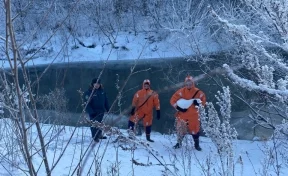 В Кемерове спасли гусей на Искитимке, их отправят в «Томскую Писаницу»