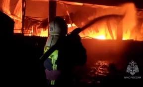 В Тольятти произошёл крупный пожар на фабрике дверей. Сотрудники МЧС эвакуироали 15 человек