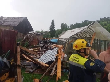 Фото: Поломанные деревья, кровли, дорожные знаки: мэр Кемерова рассказал о последствиях непогоды 1