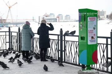 Фото: В Кемерове на набережной Искитимки появился «уткомат» 1