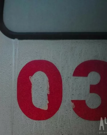 Фото: А42.RU