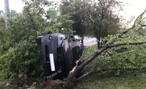 В Кемерове автомобиль врезался в дерево