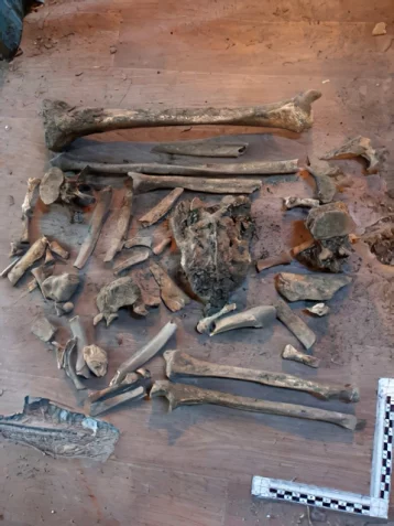 Фото: Семья в Бурятии обнаружила под полом своего дома 57 человеческих костей 1