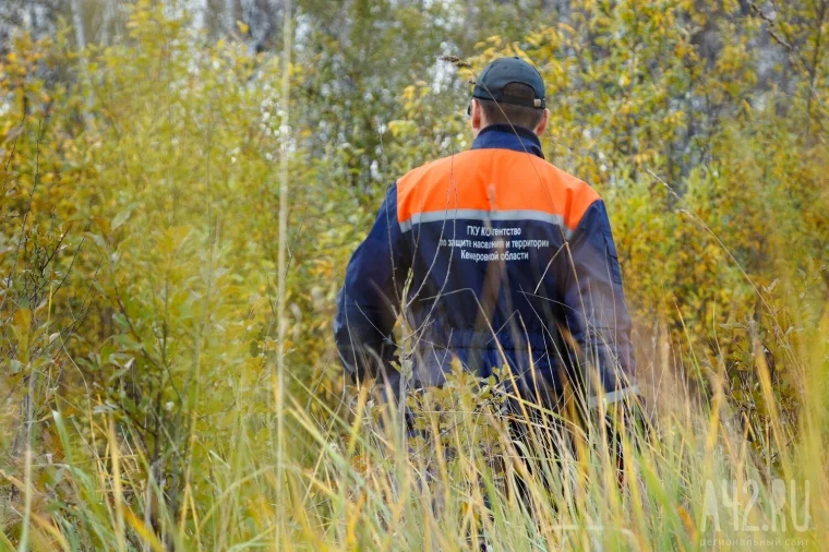 Фото: Ушёл и не вернулся: как искать людей в лесу с помощью бензопилы 1