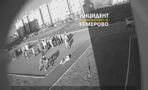 В результате уличной драки в Кемерове пострадал грудной ребёнок