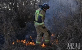 Площадь лесного пожара в Геленджике увеличилась до 118 гектаров