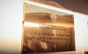 В Кузбассе двухлетнего ребёнка придавило металлической дверью
