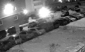 В Кемерове осудили «мстителя», который поджёг машину коллеги после конфликта в чате