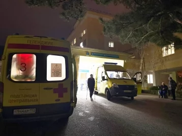 Фото: В Геленджике мать 4 детей прикоснулась языком к удобрению и впала в кому 1