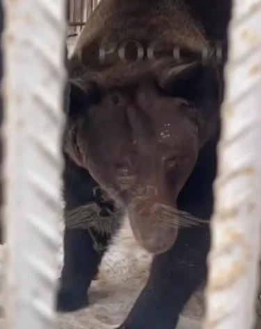 Фото, видео: <a href=https://t.me/IrinaVolk_MVD/6628>Ирина Волк</a> / Telegram