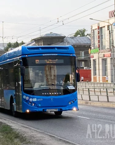 Фото: A42.RU