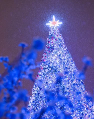 Следующая рабочая неделя будет двухдневной