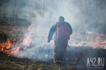Фото: Синоптики Кузбасса предупредили о пожароопасности третьего класса 1