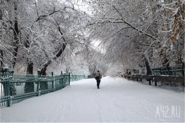 Синоптики: Кузбасс на выходных ждут перепады температуры от 0 до -26