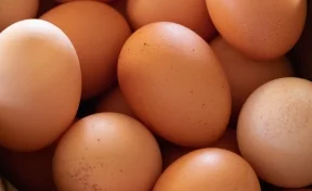 Росконтроль назвал лучших производителей яиц