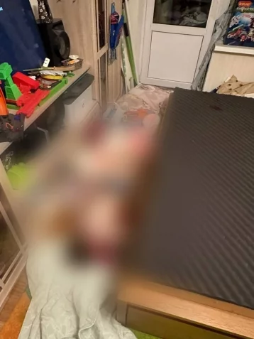 Фото: В Москве женщина убила своего 4-летнего ребёнка ножом  1