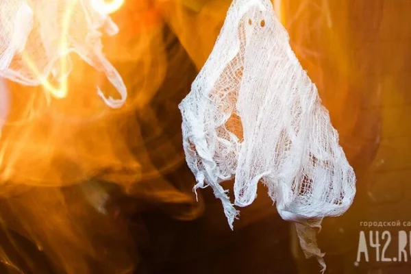 Разрушительный пожар в Лос-Анджелесе, уничтоживший дома голливудских звёзд, устроил таксист