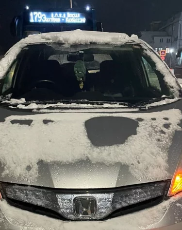 В Кемерове иномарка сбила 12-летнюю девочку на пешеходном переходе