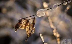 Синоптики рассказали о погоде в Кузбассе в первые дни весны