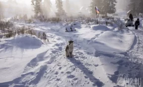 Золх, Антибес и Нижняя Суета: в Росреестре перечислили самые необычные названия сел и деревень Кузбасса