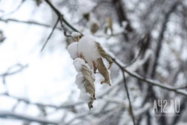 Прохор Весновей: приметы на 23 февраля