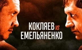 Стали известны гонорары Емельяненко и Кокляева за боксерский поединок