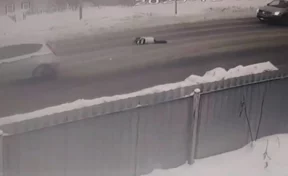 В Кузбассе иномарка сбила 8-летнюю девочку на пешеходном переходе