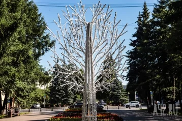 Фото: Дмитрий Анисимов: в Кемерове на Весенней улице установили светодиодное дерево 1