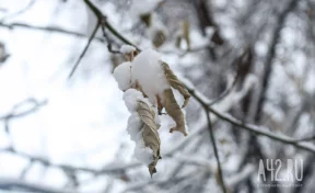 Прохор Весновей: приметы на 23 февраля