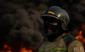 В Кузбассе из-за сильного ветра загорелись поля