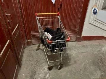 Фото: Пенсионера с тележкой с человеческими останками остановили в Санкт-Петербурге 1