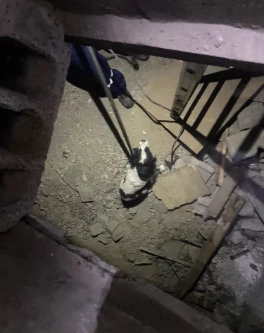 Фото: <a href=https://vk.com/uznt42nk?w=wall-82980358_20425>Защита населения и территории г. Новокузнецка</a> / «ВКонтакте»