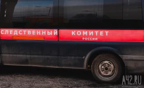 СК проверяет информацию о пьющей матери из Кузбасса