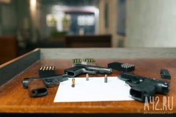 Фото: Новокузнечанин нашёл сотни патронов для пистолета 1930-х годов в кустах 1