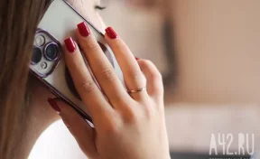 Мошенники ищут тех, кто оказался в трудной ситуации, и предлагают «списать все долги» по новой госпрограмме