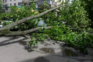 Фото: Из-за урагана в Москве и Подмосковье произошли коммунальные аварии, ветер срывал кровли 1