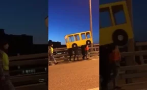 Во Владивостоке четверо пешеходов прикинулись автобусом, чтобы перейти автомост