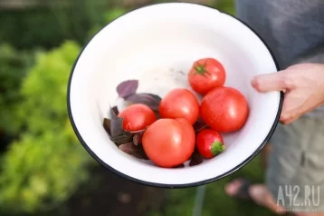 Фото: В Кузбассе за неделю резко подешевели помидоры и подорожало молоко 1