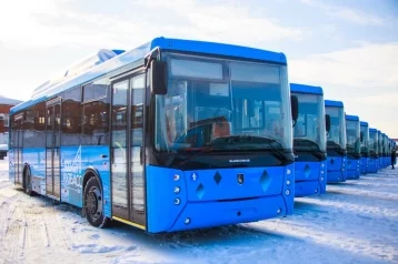 Фото: В Кузбасс поступили новые автобусы стоимостью 150 млн рублей 1
