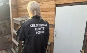 В Красноярском крае мать задержали по подозрению в убийстве 3 детей
