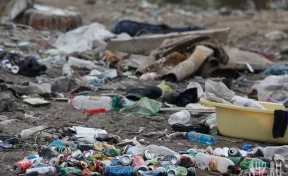 Власти уберут контейнеры для мусора на въезде в Кемерово из-за возникновения свалки 