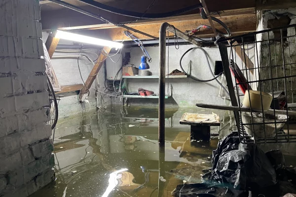 Чей-то косяк. Беловчанка завела в затопленном подвале стаю карпов