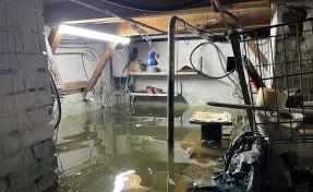 Чей-то косяк. Беловчанка завела в затопленном подвале стаю карпов