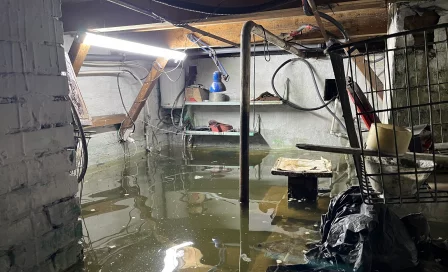 Чей-то косяк. Беловчанка завела в затопленном подвале стаю карпов