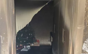 В Кемерове на пожаре на бульваре Строителей спасли 23 человека