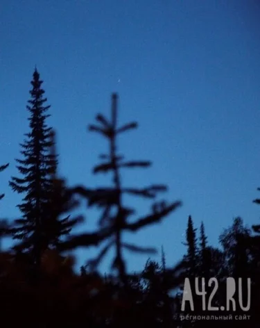 Фото: A42.RU