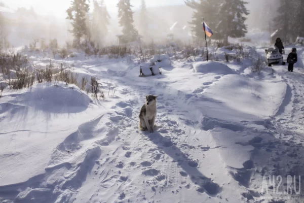 Золх, Антибес и Нижняя Суета: в Росреестре перечислили самые необычные названия сел и деревень Кузбасса