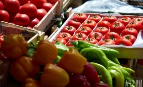 Кемеровостат: в Кузбассе за месяц на треть подорожали лук, огурцы и помидоры 